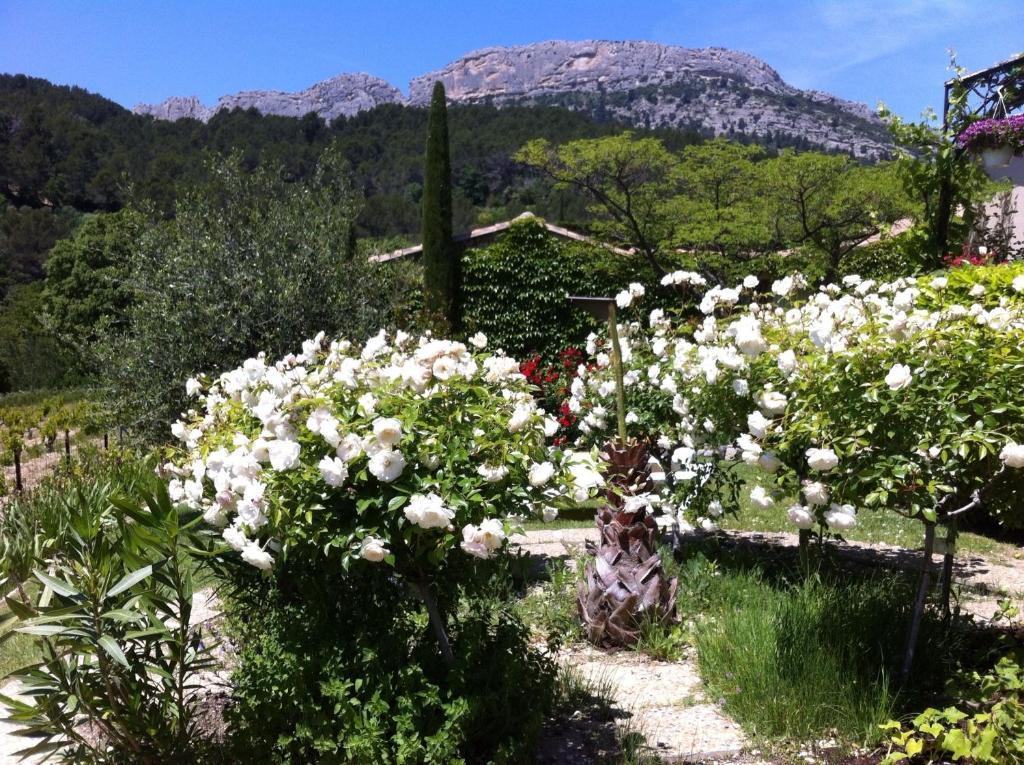 Le Grand Jardin Bed & Breakfast Lafare Exterior photo