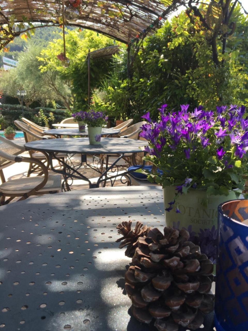 Le Grand Jardin Bed & Breakfast Lafare Exterior photo