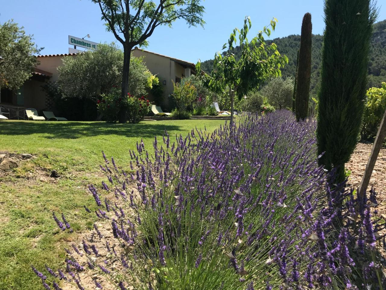 Le Grand Jardin Bed & Breakfast Lafare Exterior photo